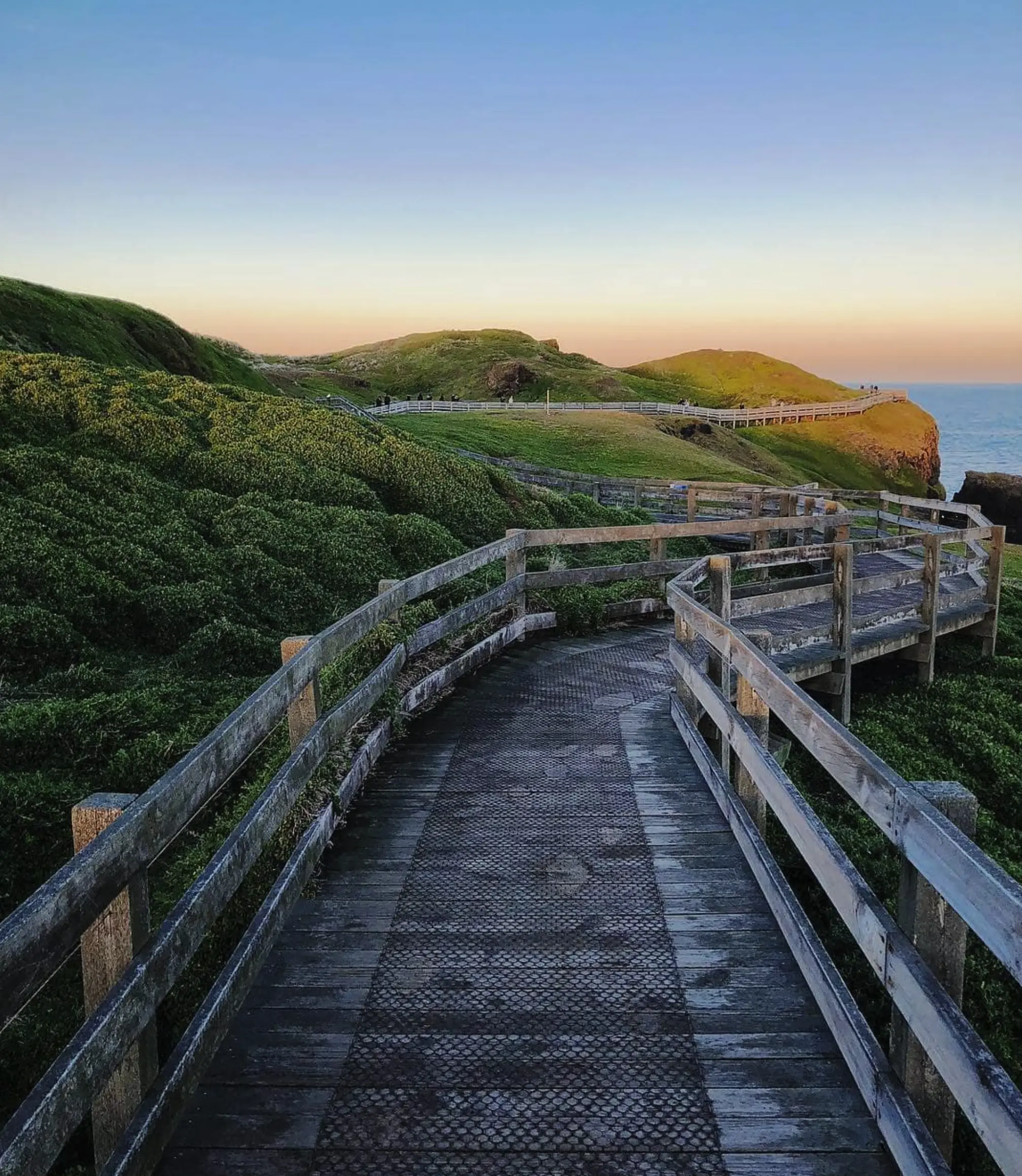 Phillip Island best places to visit