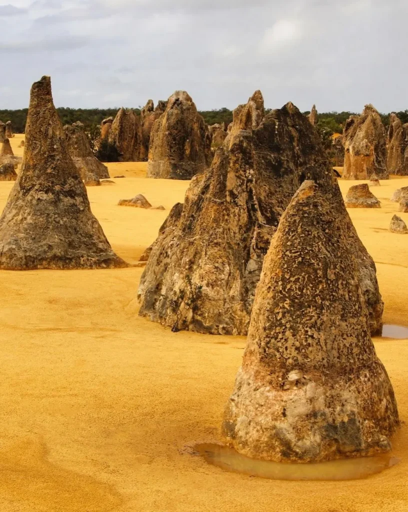 Pinnacles National Park