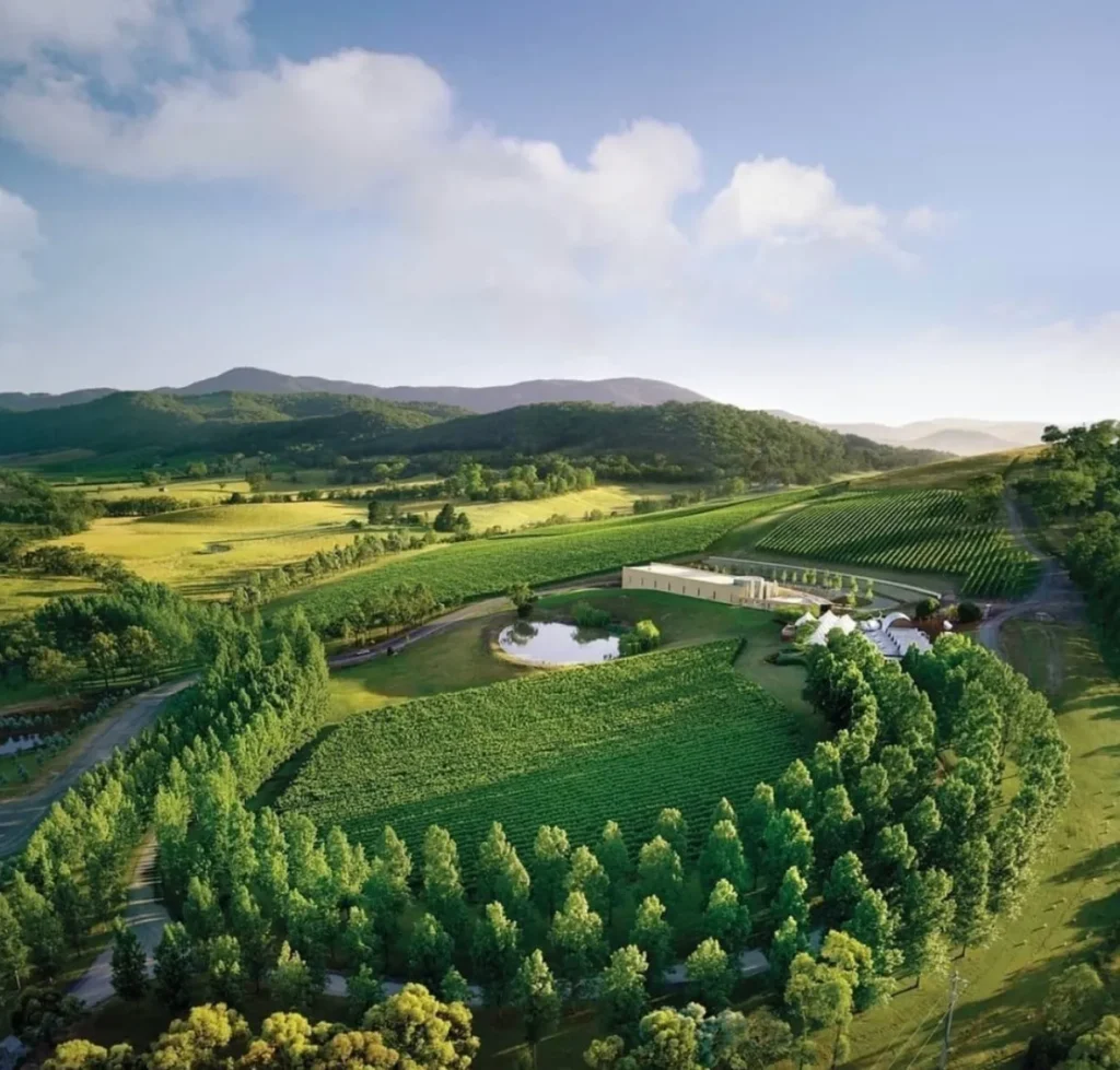 TarraWarra Estate