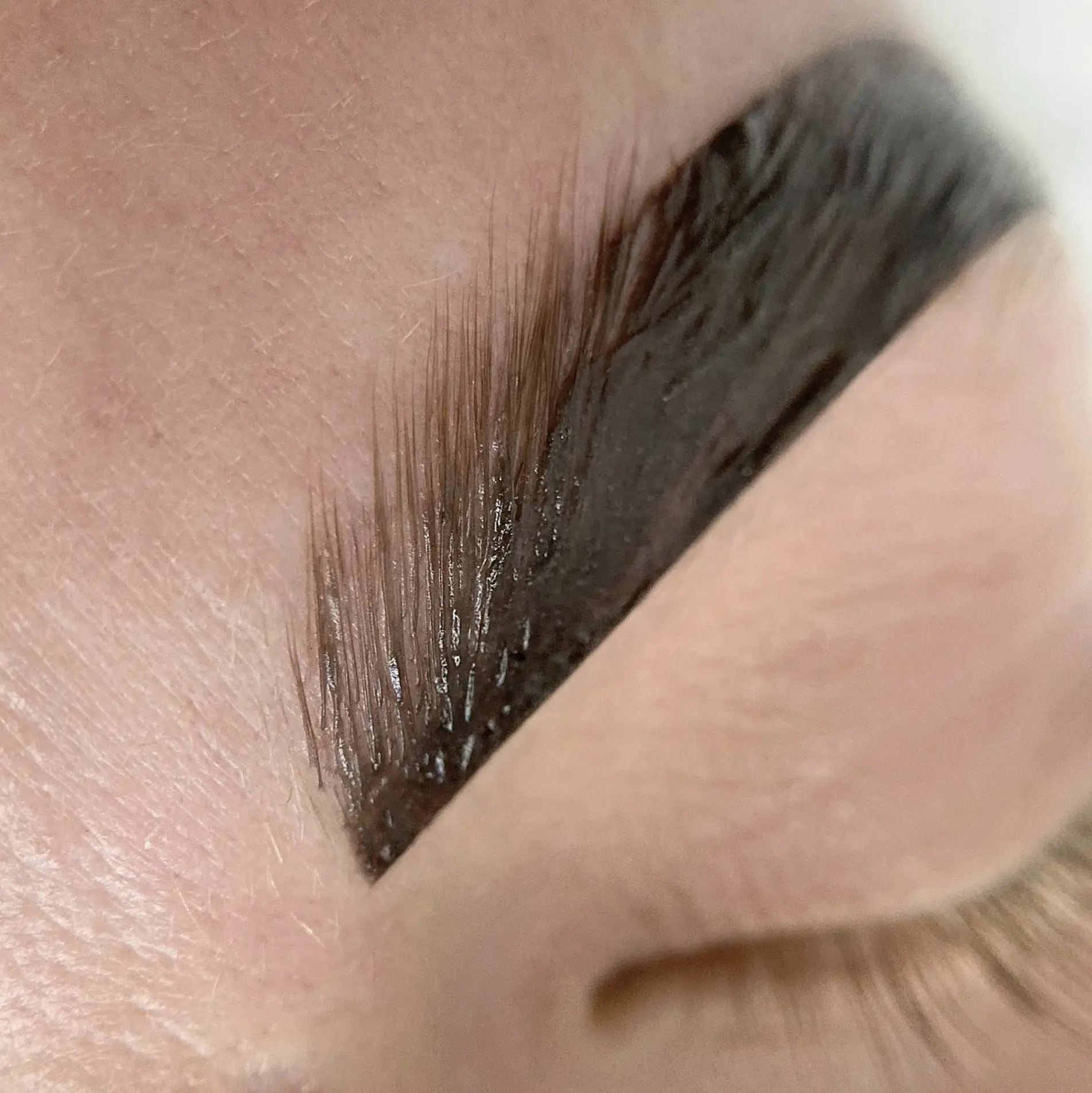 what do brows look like after lamination